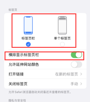 定西iPhone授权维修分享Safari浏览器如何切换标签栏位置 